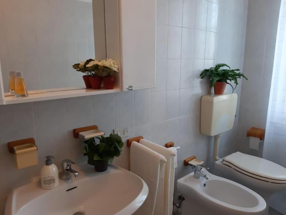Casa Bruna San Martino Alfieri Экстерьер фото