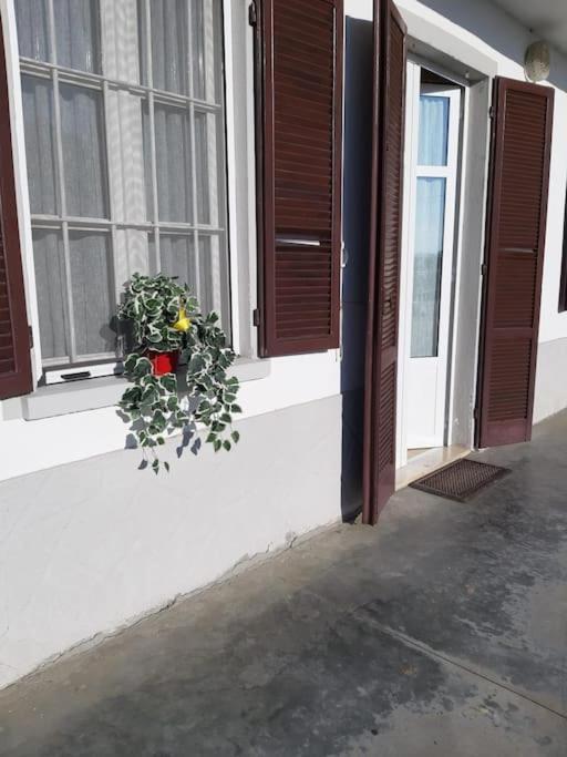 Casa Bruna San Martino Alfieri Экстерьер фото